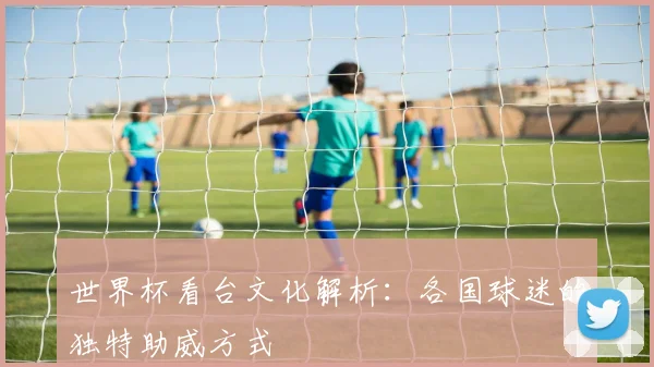 世界杯看台文化解析：各国球迷的独特助威方式