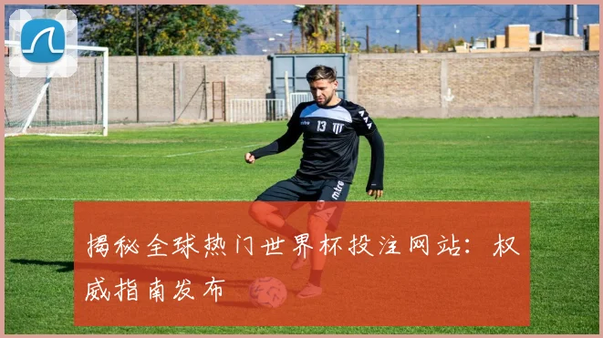 揭秘全球热门世界杯投注网站：权威指南发布