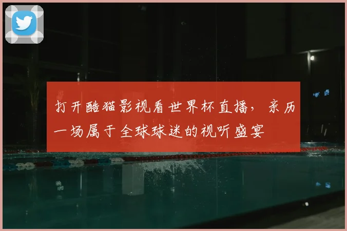 打开酷猫影视看世界杯直播，亲历一场属于全球球迷的视听盛宴
