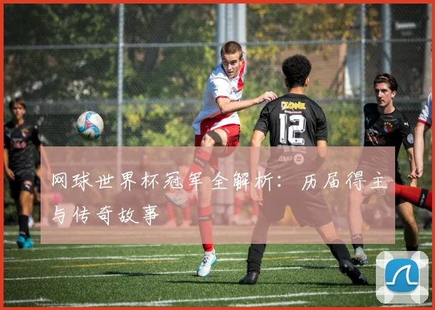 网球世界杯冠军全解析：历届得主与传奇故事